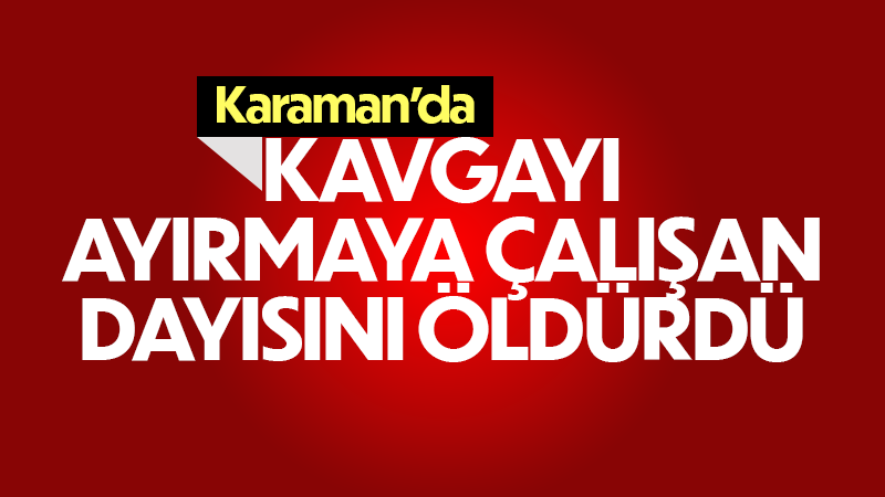 Kavgayı ayırayım derken dayısını öldürdü