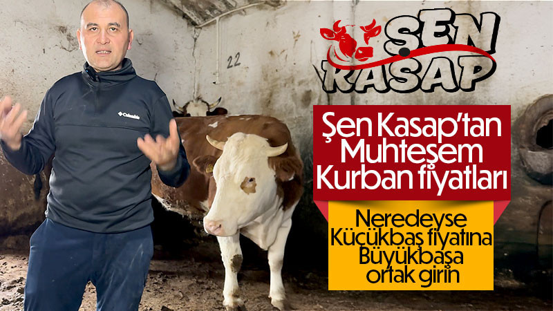 Şen Kasap'tan Muhteşem Kurbanlık Fiyatları