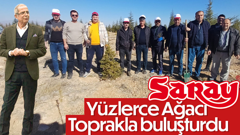 Saray Ormanlık Alanı’nda Yüzlerce Fidanı Toprakla Buluşturdu