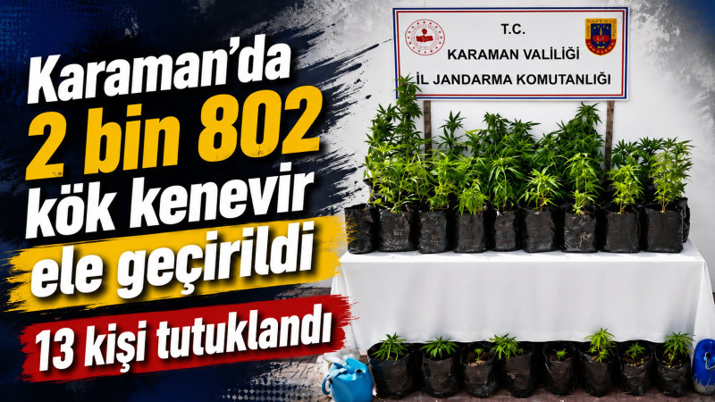Karaman’da 2 bin 802 kök kenevir ele geçirildi: 13 tutuklama 
