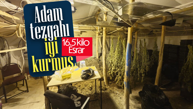 Kenevir yetiştirilen gizli seraya polis baskını: 1 tutuklama