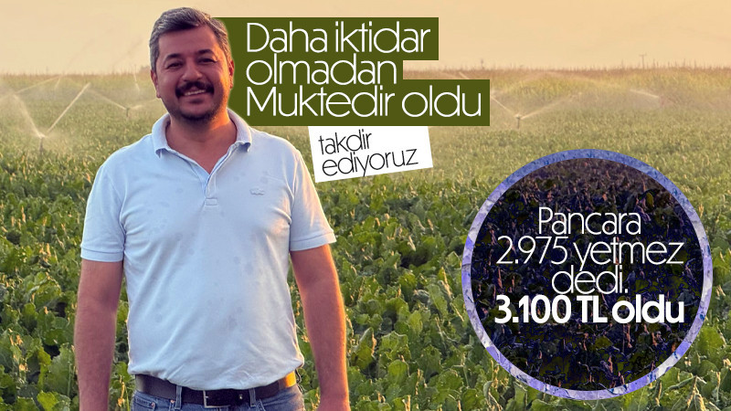 Pancar Alım Fiyatı 3.10 TL’ye Revize Edildi