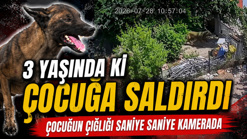 Karaman'da köpek dehşeti: 3 yaşındaki çocuk ağır yaralandı